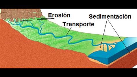 Ciclo Biogeoquímico Del Calcio Youtube