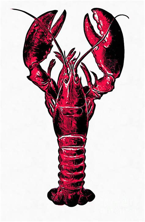 Lobster Drawing Free Download On Clipartmag