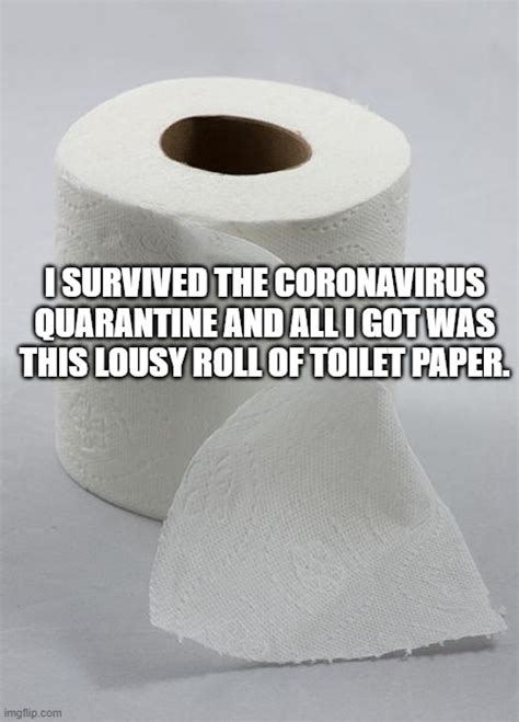 Toilet Paper Memes Imgflip