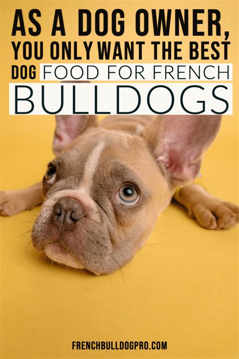 The french bulldog was rated the fourth most popular breed in the uk in 2014. As A Dog Owner, you only want the Best Dog Food for French ...