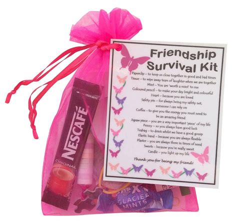 Unique birthday gifts for best friend male. Friendship/ Best Friend / BFF Survival Kit Gift (Great ...