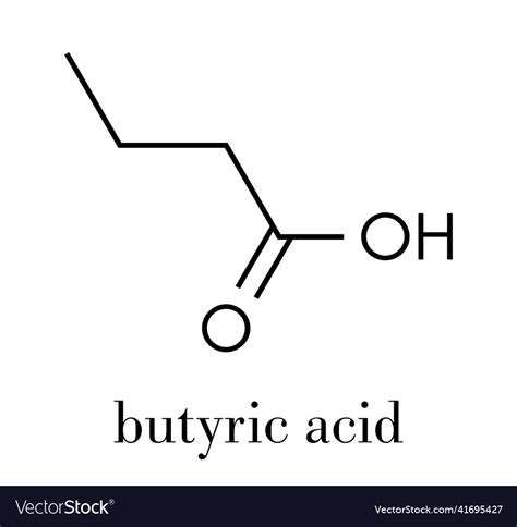 Butyric Acid Butanoic Acid Short Chain Fatty Acid Vector Image