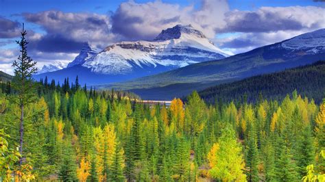 Wallpaper Banff National Park Alberta Canada Mountains Sky Forest