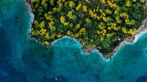 Fantasy Island Wallpaper 4k Aerial View Forest Ocean 2020