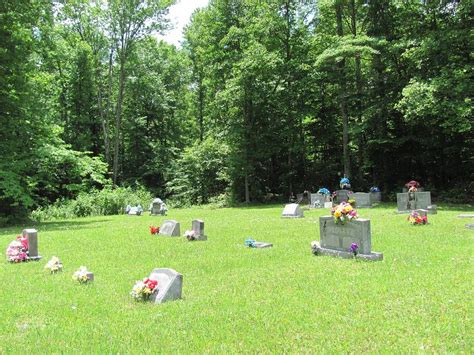 Cook Cemetery Dans Winona Tennessee Cimeti Re Find A Grave