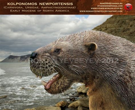 Kolponomos Newportensis Head Prehistoric Animals Prehistoric
