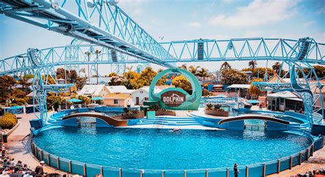 SeaWorld San Diego: Emocionantes encuentros con animales en el sur de