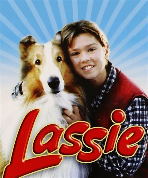 Lassie Série Saisons Episodes Acteurs Actualités