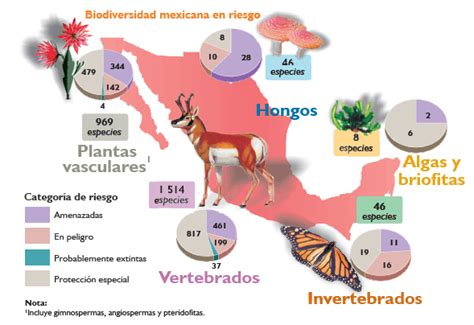 La Biodiversidad En México