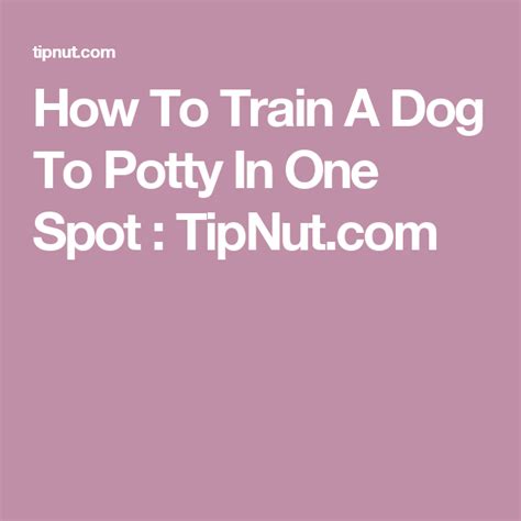 How To Train A Dog To Potty In One Spot Dogs Pooping