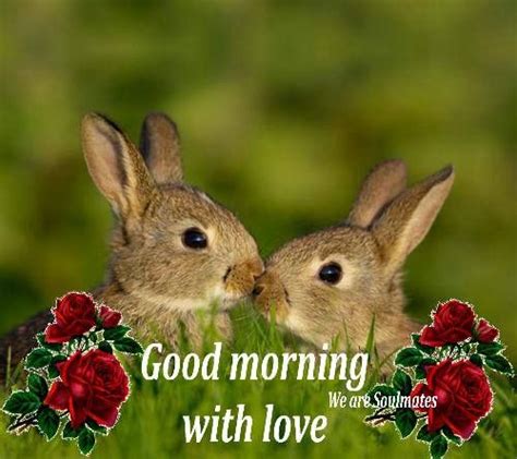 Good Morning With Love Rabbit Pictures Animal Pictures Cute Pictures