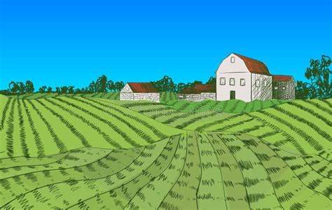 Vector Colorful Farm Illustration Hand Drawn Farm Field And House