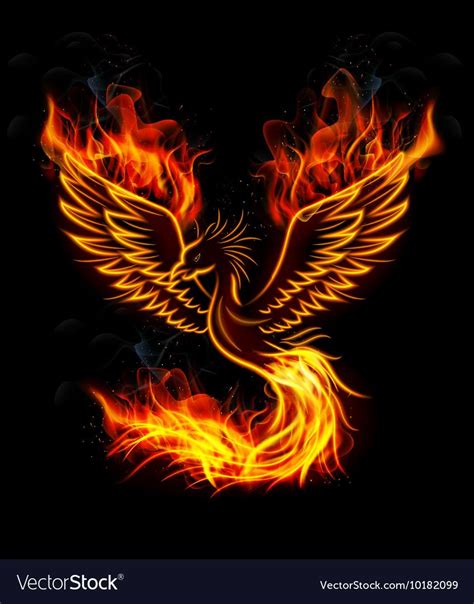 Illustration Of Fire Burning Phoenix Bird With Black Background