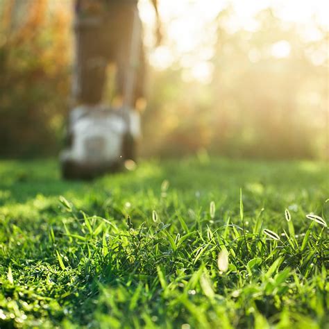 Grass Cutting Tips | Cardinal Lawns