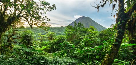 370 Costa Rica Tropics 4 Nt Stay Wbreakfast And Shermanstravel