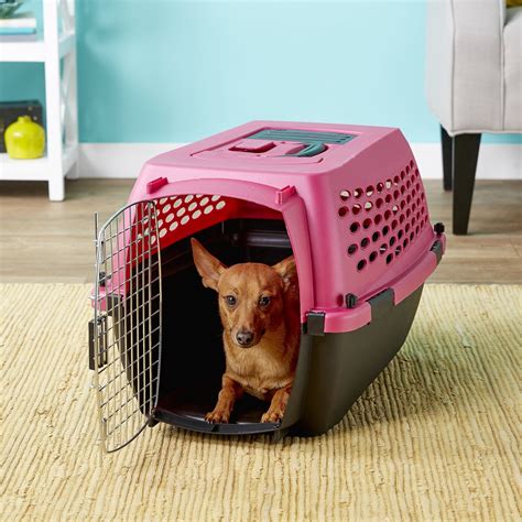 Petmate Vari Kennel Portable Dog & Cat Kennel, 24-in, Pearl Raspberry ...
