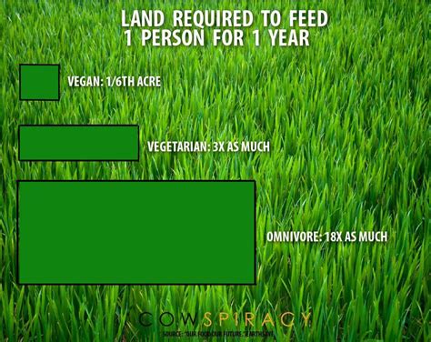Land Required To Feed 1 Person For 1 Year Vegan Vs Vegetarian Vs