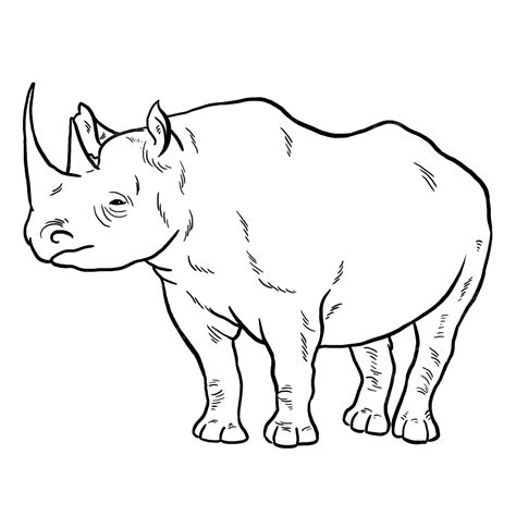 Rhinoceros Coloring Outline Rhinoceros Rhino Drawing Png Transparent