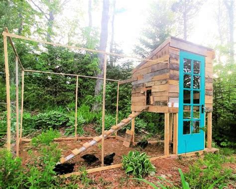 Free Pallet Chicken Coop Plans Step By Step Guide