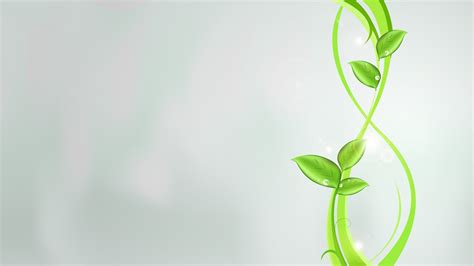 2560x1440 Plants Green Abstract 1440p Resolution Wallpaper Hd