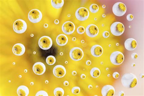 Reflections Of Yellow Flower In Multiple Small Water Drops Stock Photo