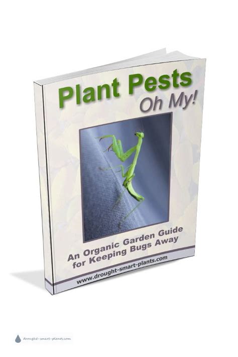 Or, they may involve the release of large numbers of natural enemies to rapidly reduce pest infestations. Plant Pests Handbook - natural methods of biological pest ...