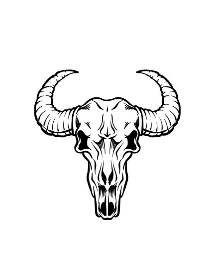 How To Draw A Bull Skull Easily