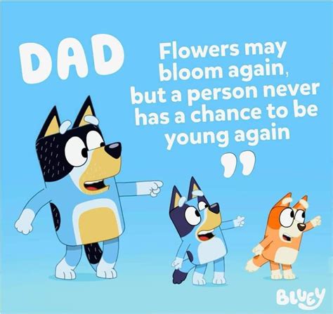 7 Bluey Birthday Quotes For You
