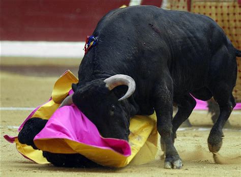 Jul 14, 2012 · el banderillero el chano, con lesión medular no podré torear, pero sí luchar por mi familia, dice el banderillero, que quedó inmóvil de cintura para abajo en el ruedo. El banderillero »El Chano» perdió la sensibilidad en las ...