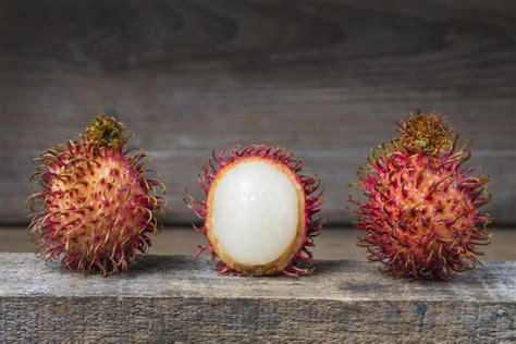 rambutan no togel