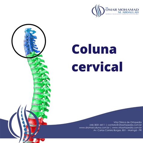 Coluna Cervical Dr Omar