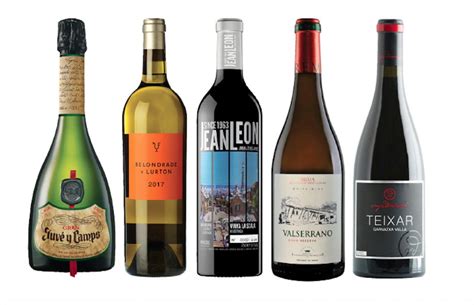 Ageing Spanish Wines 24 Wines For Your Cellar Decanter