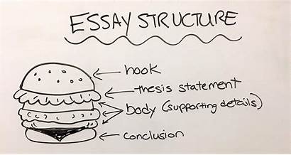 Essay Essays College Application Structure Succeed Impress