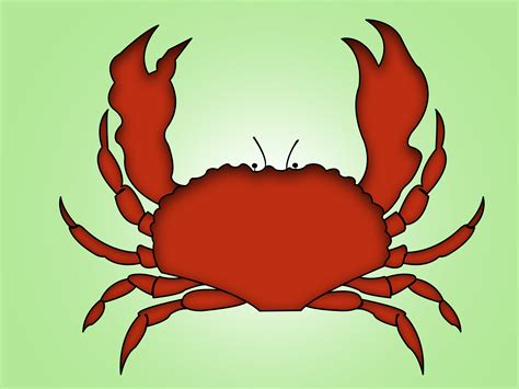 How To Draw A Crab 3 Steps With Pictures Wikihow
