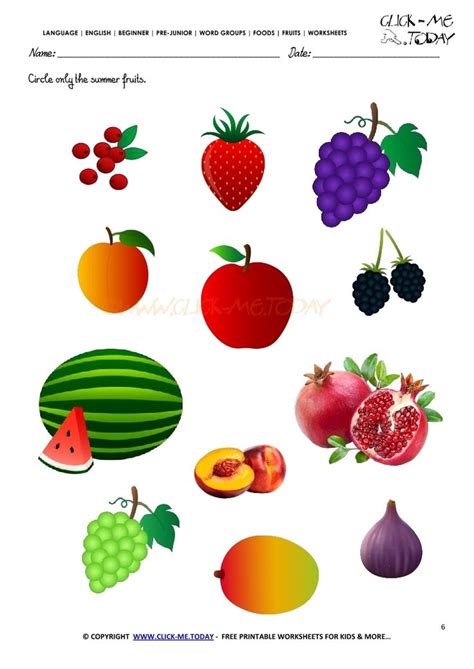 Fruits Worksheet 6 Circle Only The Summer Fruits Summer Fruit