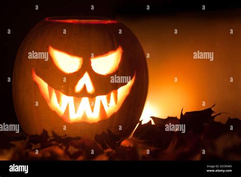 Scary Lighted Jack O´lantern Halloween Carved Pumpkin On Golden