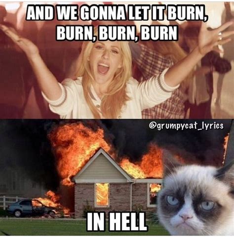 Grumpy Cat Sings Burn By Ellie Goulding Grumpy Meme Grumpy Cat Quotes