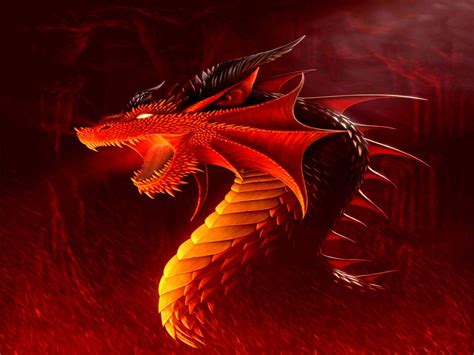 Dragon Android Wallpapers Top Free Dragon Android Backgrounds