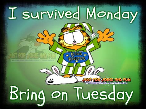 pin by michele bamond on garfield good morning tuesday tuesday quotes funny tuesday humor