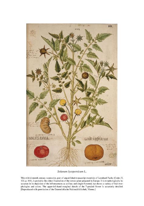 Taxonomy Of Wild Tomatoes And Their Relatives Pdf Host