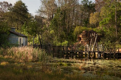 Photos Of An Abandoned Disney Water Park Will Haunt Your Dreams