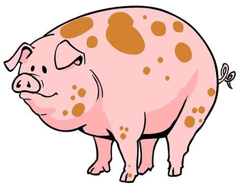 Cerdo Clipart Dibujos Animados Descargar Gratis Creazilla