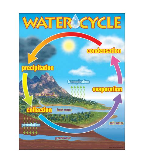 What Is Water Cycle Water Cycle Chart Water Cycle Poster Science