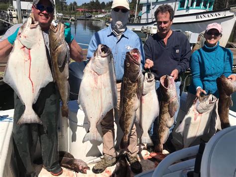 Halibut Fishing Charters Washington Total Fisherman