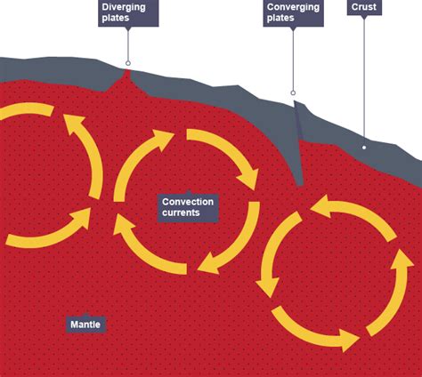 Circular Convection Currents In The Mantle Move The Plates On Top