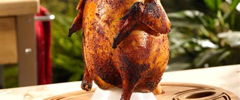 Any spice powder like garam masala, meat masala or biryani masala works fine with these recipes. Beer Can Chicken - Big Green Egg