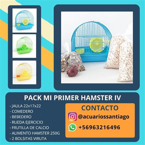 Pack Hamster Roedor Jaula Casa Cuotas Sin Interés