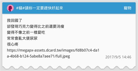 貓 請妳一定要趕快好起來 寵物板 dcard