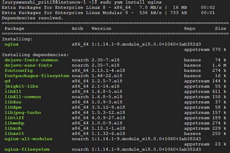 How To Install Nginx On Centos