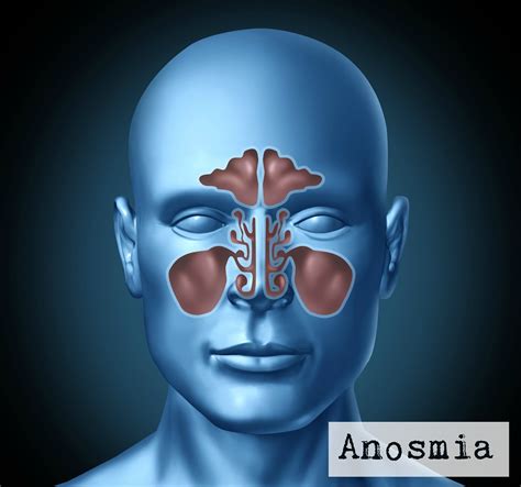 Blockage of nasal passages or a destruction of one temporal lobe.specifically, according to the lancet journal. Anosmia ~ news word
